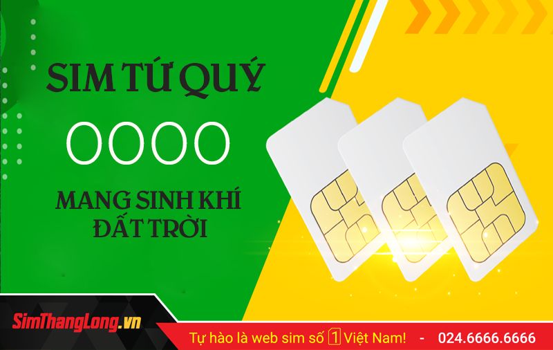 Ý nghĩa SIM Tứ Quý 0 là gì? Cách chọn sim 0000 hợp phong thuỷ 2024